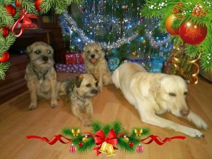 Hera Ostrý lovec a její kamarádi.