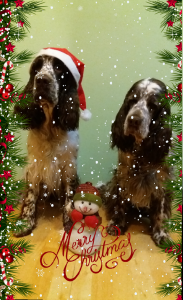 Pozdrav od paní Olgy Kulhavé.