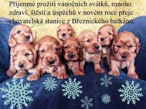 Kokrátka z Březnického balkánu.