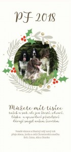 Polly (Dianka) z VP a její kamarádi.