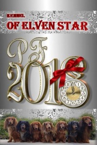 Kámoši jezevčíci, mezi nimi je náš tatínek štěňátek.