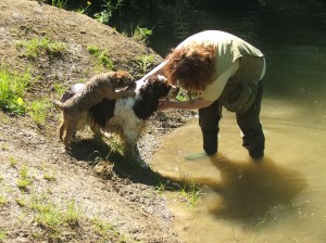 Byla ještě štěně a učila jít špringru do vody.