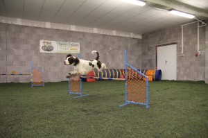 Překážky jsou pro Portose hračkou.