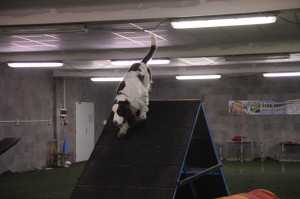 Těžká překážka, nic nemožného pro Portoska!