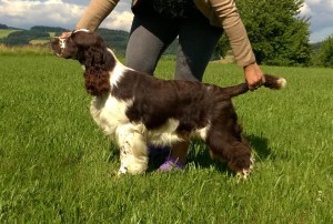 Great Gabe Rockdale se mi moc líbí jak v exteriéru, tak v povaze.