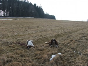Giulian dělá kontrolu, zda Thymi dobře leží.