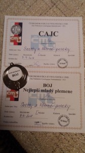 Scotty - národní výstava Ostrava