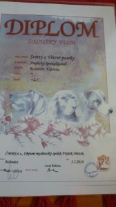 Iran je oficiální člen záchranářského týmu CZ, Scotty zkoušky vloh, Urka 14 let, Kara a Reisha měly narozeniny.