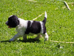 Naše nejmenší - Violka