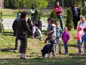Jarní svod psů 28.4. - předvedení práce loveckého psa