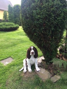 Meggie v novém domově.