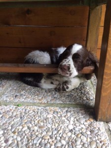 Po řádění se usne všude.