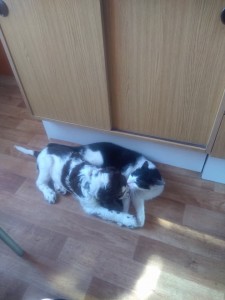 Uriáš a jeho nový kámoš.