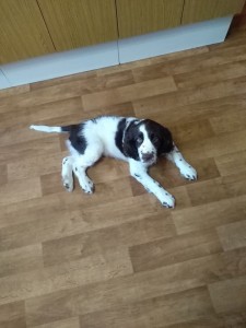 Já bych něco snědl!