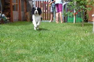 No přece lítání a lítání!