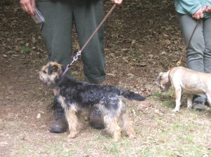 Wandice na nástupu.