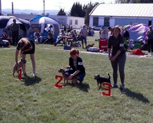 Kora druhá v pořadí na KV Staňkov.