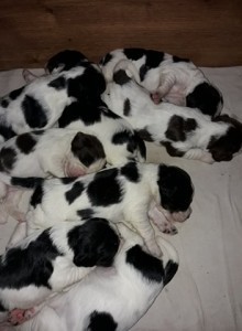 Spinkáme - deset dní