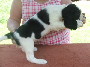 Xia - ta malá neposeda prostě postoj neudělala...ono to také není jednoduché...