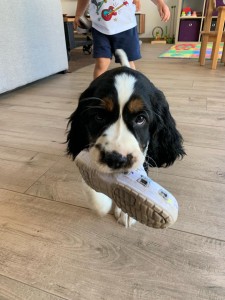 Vemu mu botu, třeba vyleze z mého pelechu!!!