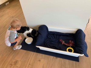 Podařilo se, sláva! No a ještě mě nakrmil, cha!