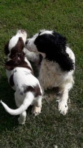 Xilke - Gerda, si ještě užívá maminky Kary.