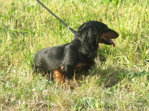 Nebudu se fotit, ale ukážu jak mám krásnou hlavičku z profilu!