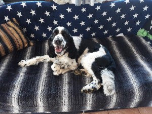 Nejlépe je na gauči.