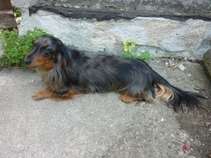 Hezky ležet a zůstat!