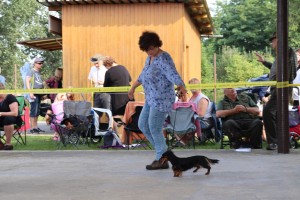 Capetka MVP mezitřída - velmi dobrá 1