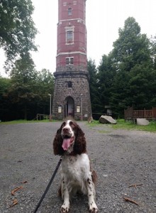 Tak zase někdy ahooooj Meggie!