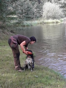 Zopáknout si aportek neuškodí - NIké.