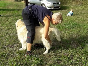 Došlo i na česání. Vzadu malý kynolog Vítek napodobuje pejsky.