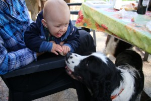 Vítečku, to je Vigo, syn našeho Huberta!