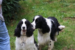 Maminko, poznal jsem tě po čichu!