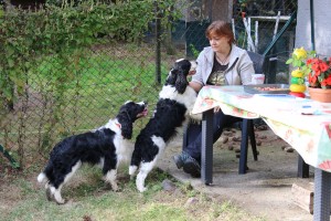 Tak co, nezlobí ten můj kluk? No jen řekni Romano, je to pacholek, co? No jo...chlap je to!