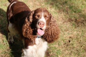 Ať se mládí vydovádí, cooo?