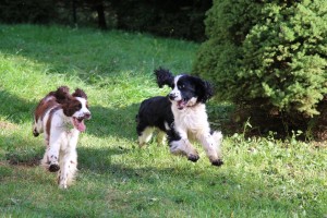 No jasně, mládí vpřed!