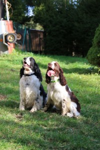 Tak dost, copak nevidíte, jak je ta moje dcerka uhnaná?