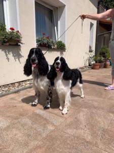 Viola se svým starším kámošem.