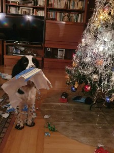 Sofie - Wendy z Větrné paseky rozbaluje dárek.