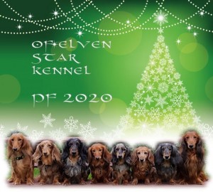 Naši kamarádi z CHS of Elven Star - třetí zleva, tatínek našich štěňátek.