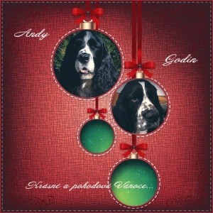 Ingo od Stroupinského potoka a Godin z Lipových dolin - tatínci našich štěňátek od N,O a X.