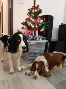 Xia z Větrné paseky a její kámoška z CHS Rockdale.