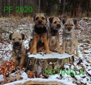 Bordíci Ketineláci