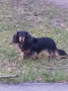 Ája - Tami se má dobře.