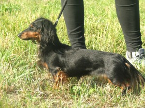 Cápa, Čápa, Čapina, Čápě, Cápa, Čapička....zlobidlo všech zlobidel!