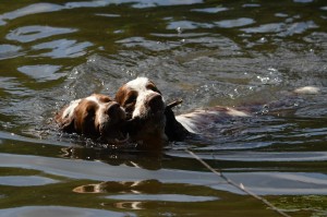 Ebony s bráchou Exym sraz 2014
