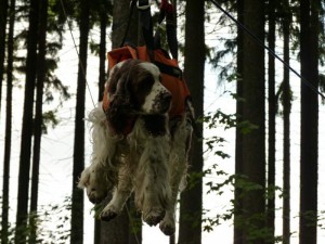 Ebony opět na lanovce - sraz 2014