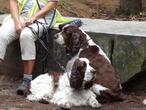Sraz 2019 - došli jsme do nejsevernějšího místa České republiky!